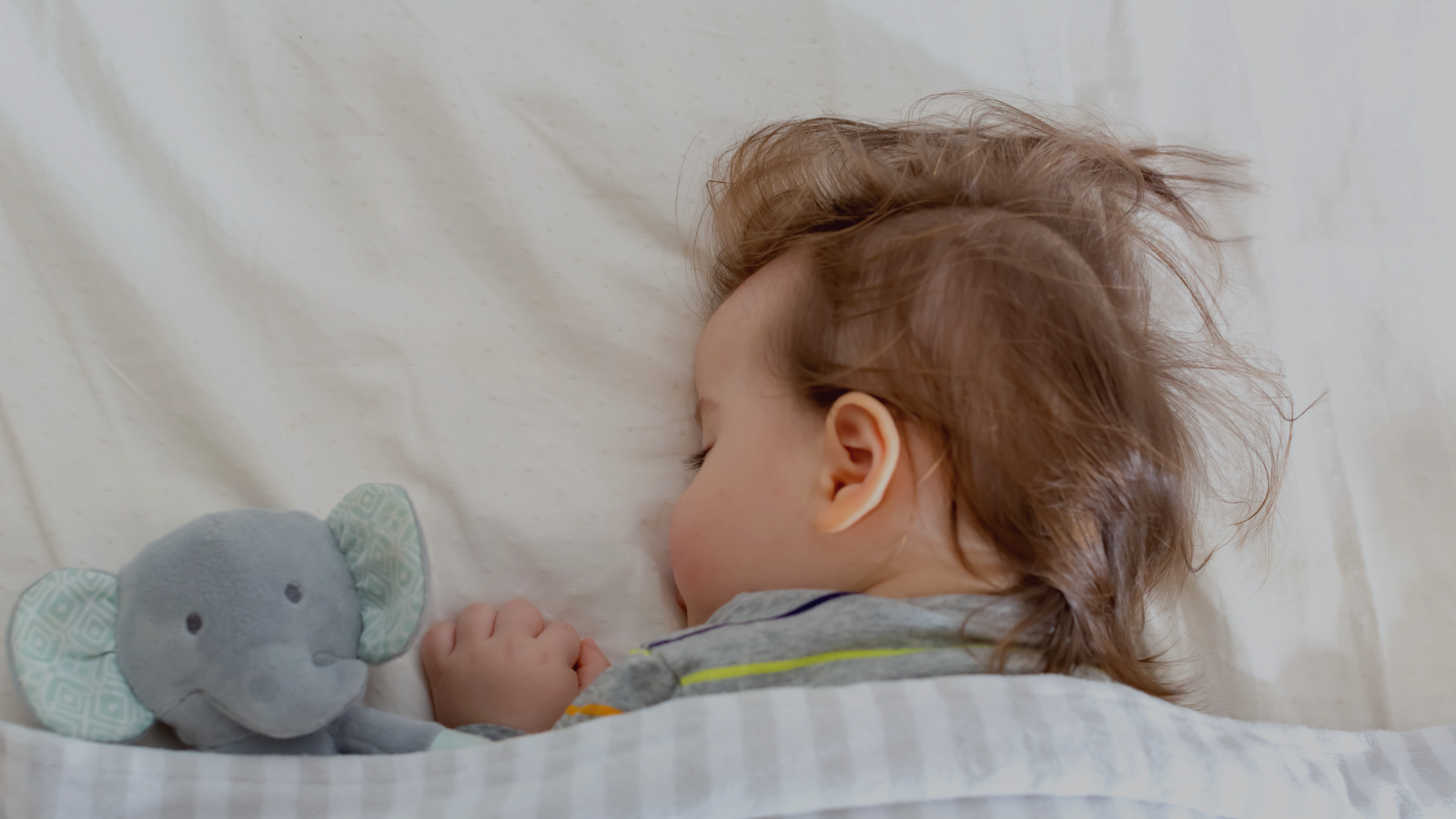 toddler sleep