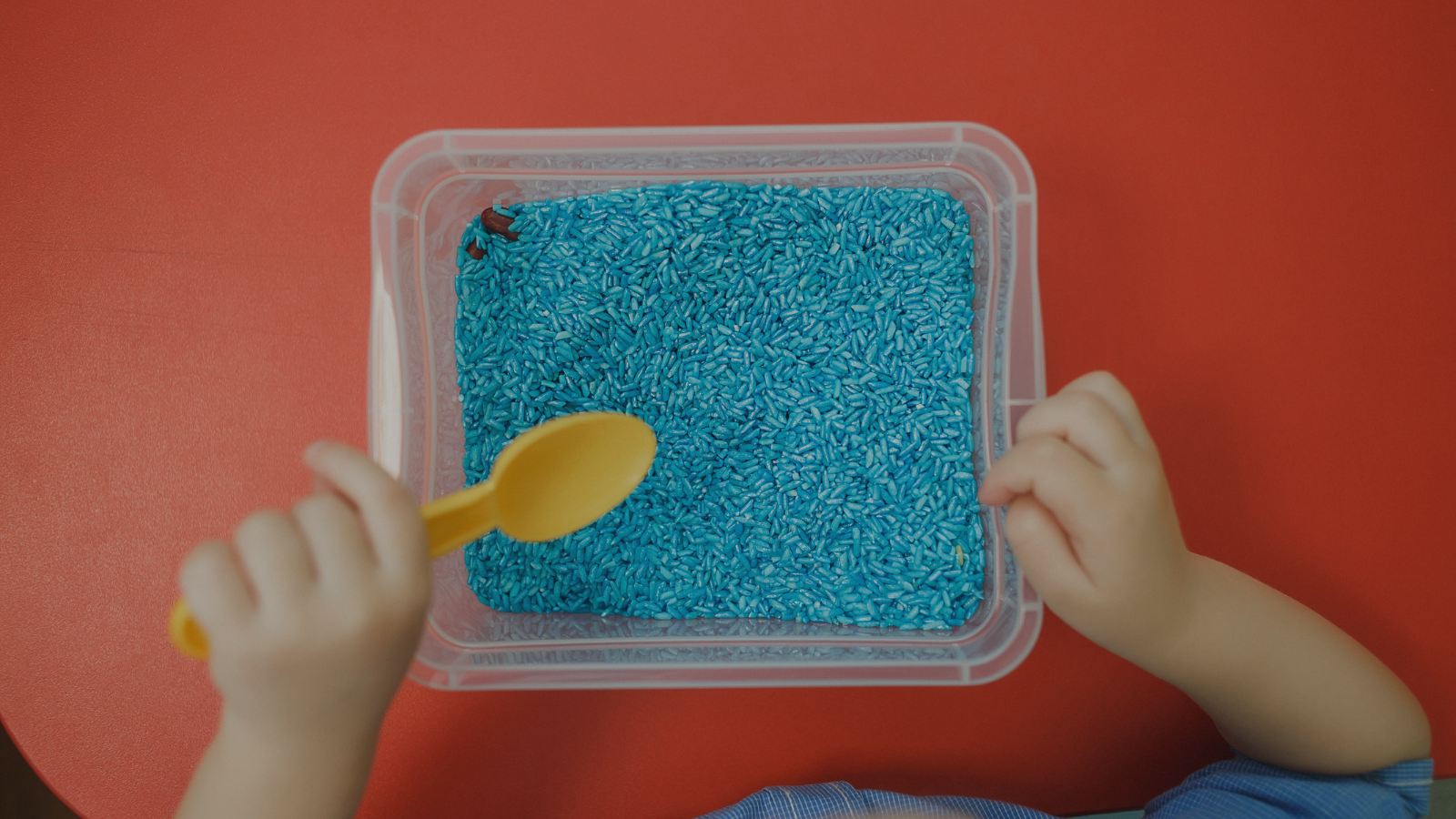 Sensory bin toddler